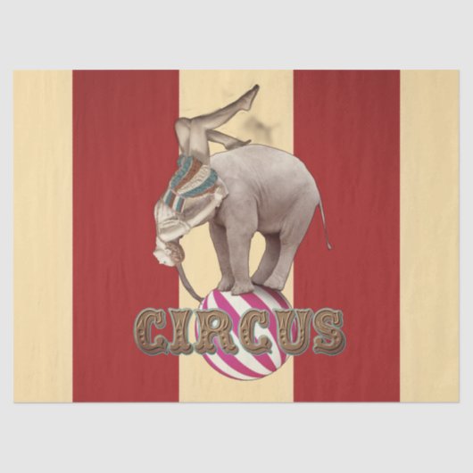 Circus Kermis  Tissuepapier (Voorkant)