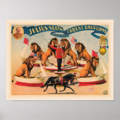 Circus Lions, vintage illustration, Poster (Voorkant)