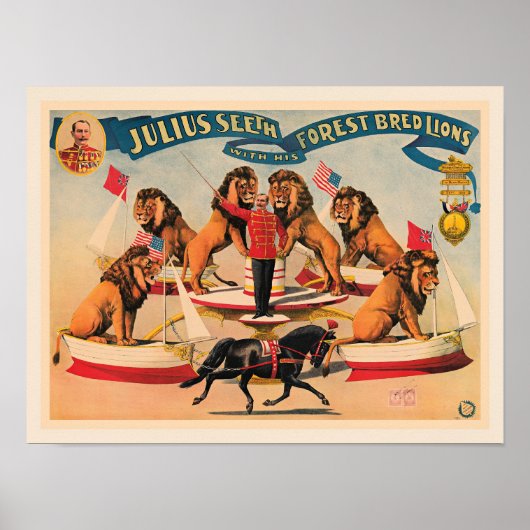 Circus Lions, vintage illustration, Poster (Voorkant)