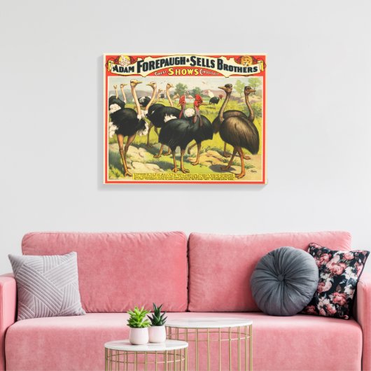 circus met struisvogels en grote vogels. canvas afdruk (Insitu (Woonkamer))