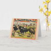 circus met struisvogels en grote vogels. kaart (Gele Bloem)