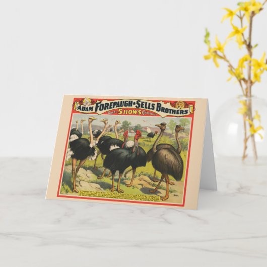  circus met struisvogels en grote vogels. kaart (Gele Bloem)