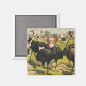  circus met struisvogels en grote vogels. magneet (Voorkant / Achterkant)