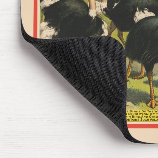 circus met struisvogels en grote vogels. muismat (Hoek)