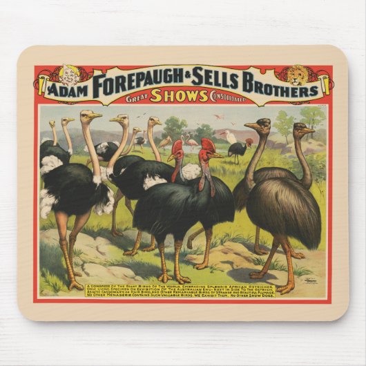  circus met struisvogels en grote vogels. muismat (Voorkant)