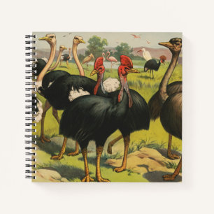 circus met struisvogels en grote vogels. notitieboek