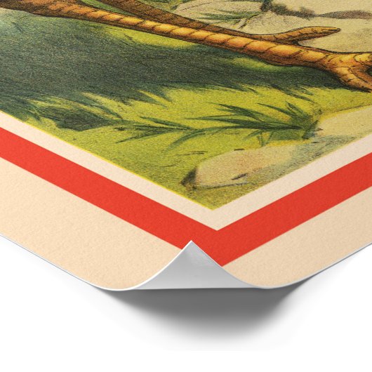  circus met struisvogels en grote vogels. poster (Hoek)