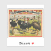  circus met struisvogels en grote vogels. sticker (Vel)