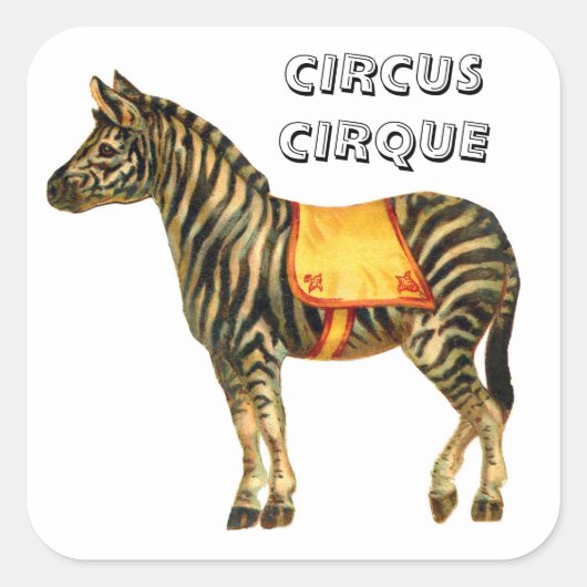 circus optredend zebra vierkante sticker (Voorkant)