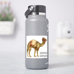  circus optredende kameel sticker