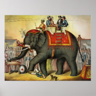 Circus Poster