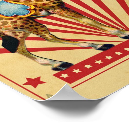  Circus Poster (Hoek)