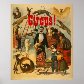 Circus. - Poster theater #1