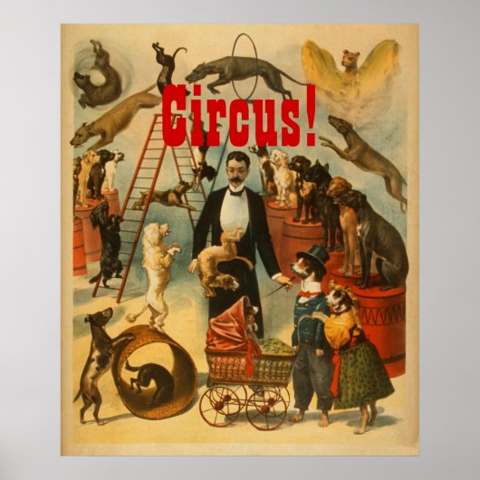 Circus. - Poster theater #1 (Voorkant)