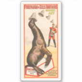 Circus Poster toont een Zee leeuw vangen Petten Sticker (Voorkant)