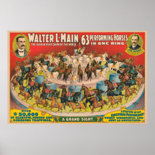 Circus Poster van 63 optredende paarden in één rin