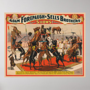 Circus Poster van grote Denen met trainer