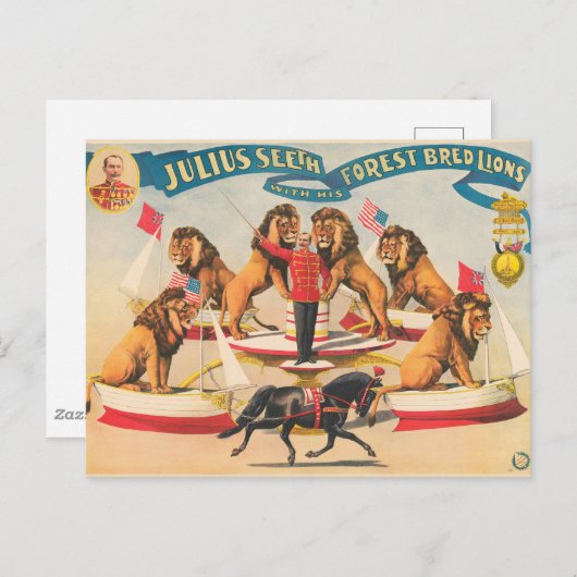 Circus Poster van Julius Seeth met zijn leeuwen Briefkaart (Voorkant / Achterkant)