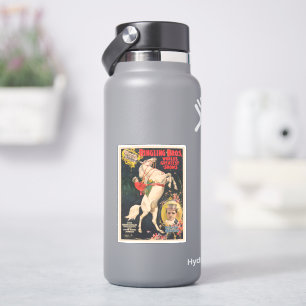 Circus Poster van mevrouw Ada Castello op een paar Sticker