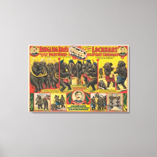 Circus Poster van olifanten optreden Canvas Afdruk (Voorkant)