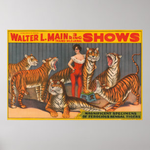 circus Poster van vrouw met zes tijgers.