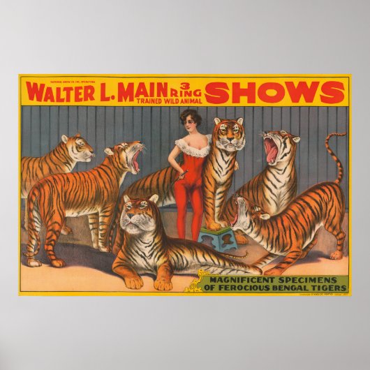 circus Poster van vrouw met zes tijgers. (Voorkant)