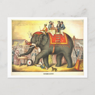  Circus Poster voor het uitvoeren van olifant Briefkaart