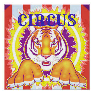 Circus Tiger 20x20 Poster Perfect Poster