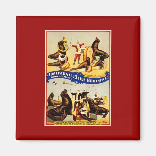 Circus - Zee leeuwen en zegels Magneet (Voorkant)