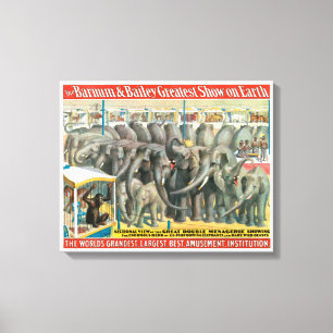 Circusdieren van olifanten en Posters in kooien Canvas Afdruk