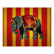 circusolifant poster