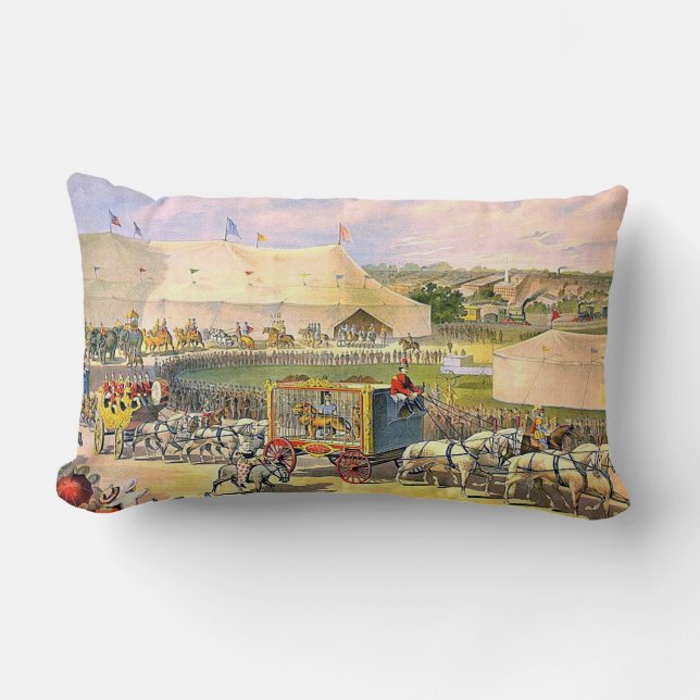  circusredenen kussen (Voorkant)