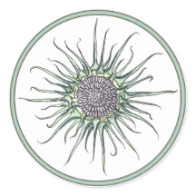 Cirkel en draaibloem Ronde Sticker