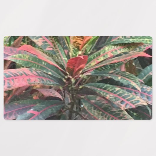 CIRKEL LABELS (Design 3)