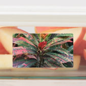 CIRKEL LABELS (Aangebracht)