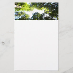 Cirkel van Redwoodbomen in Redwood National Park Briefpapier