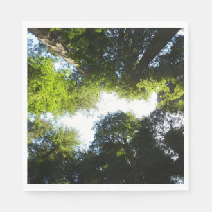 Cirkel van Redwoodbomen in Redwood National Park Servet