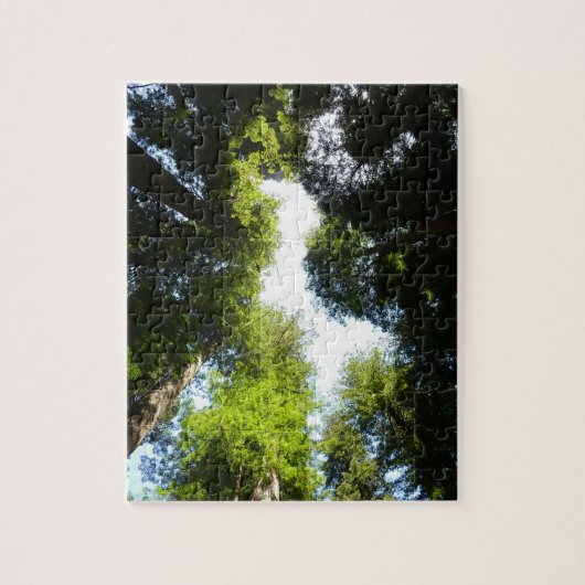 Cirkel van roodbaarzen in het nationale park Redwo Legpuzzel (Verticaal)