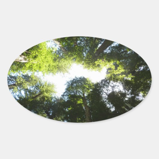 Cirkel van roodbaarzen in het nationale park Redwo Ovale Sticker (Voorkant)