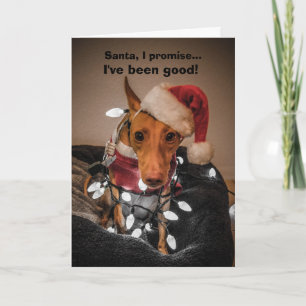 Cirneco dell'Etna-kerstkaart Feestdagen Kaart