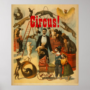 Cirque ! - Affiche #1 de théâtre