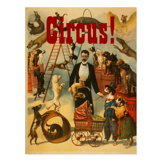 Cirque canin - carte postale #2