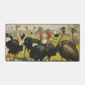 Cirque vintage Montrant Des Ostriches Et De Grands (Recto)