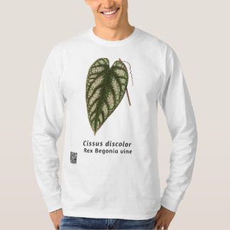 Cissus verkleurd t-shirt