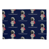CITAAT VAN DE ASTRONAUT KUSSENSLOOP (Voorkant)