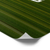 Citaat van Plato Poster (Hoek)