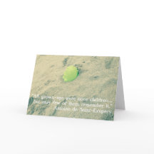 Citaten uit De Kleine Prins / Le Petit Prince