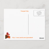 Citation avec la vigne de trompette Carte postale (Dos)