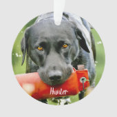 Citation de la photo de chien Marble Pet Memorial (devant)