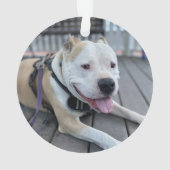 Citation de souvenir de sympathie pour mémorial d' (dos)